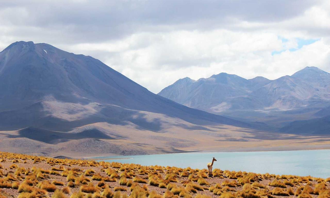 daskusza exploration