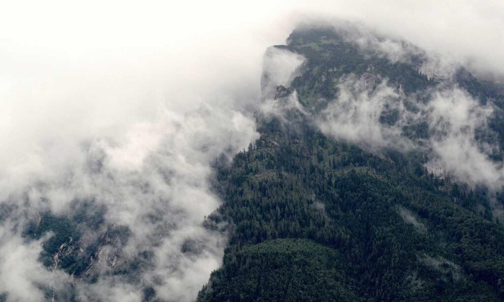 highlights of nummazaki