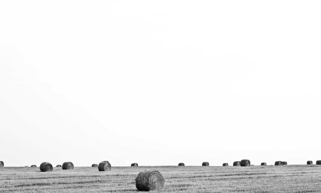 new software oxzep7 python