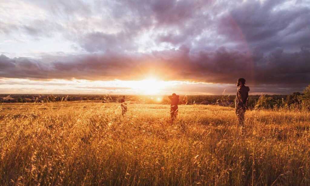 sffaresports results from sportsfanfare