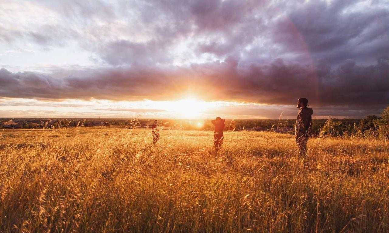 sffaresports results from sportsfanfare