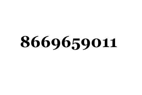 8669659011
