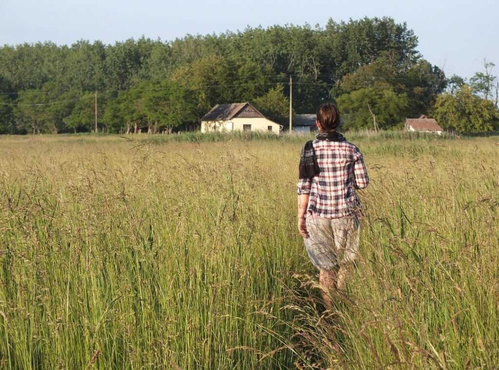 Sffarehockey Results Yesterday