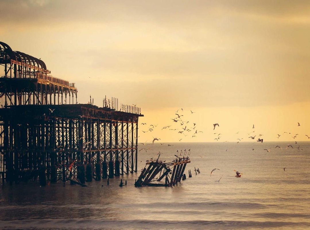 Essential Gear: Best Weapons and Companions