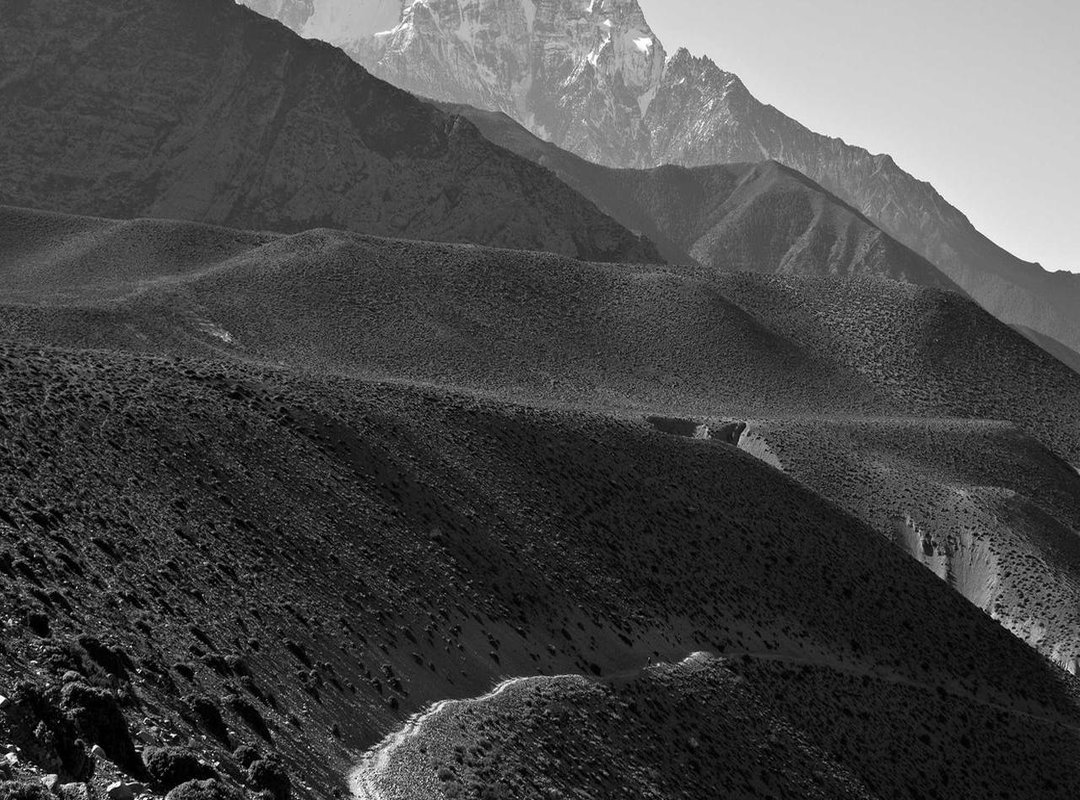 Searching for an Official Stance: What Has Corporate Said?