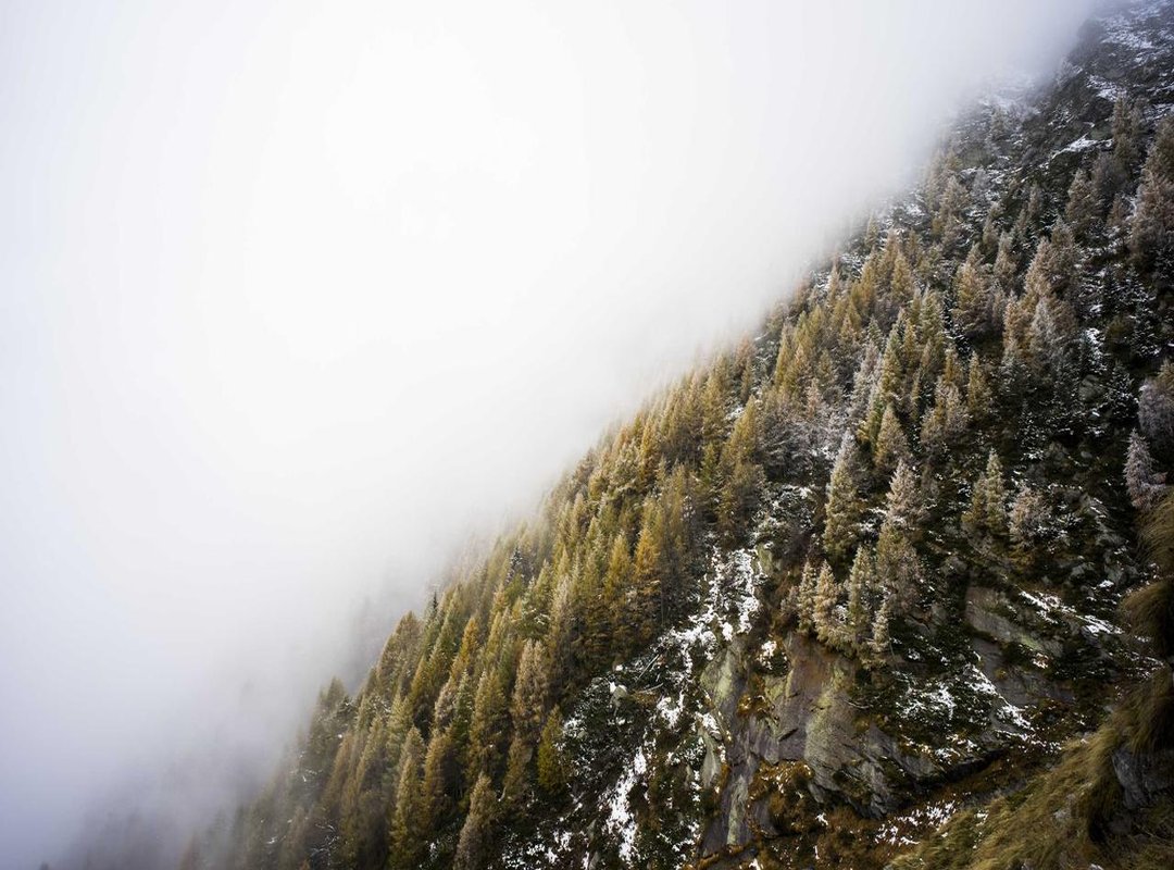 DIY Guide: Create Your Own Custom Minimalist DP for Free