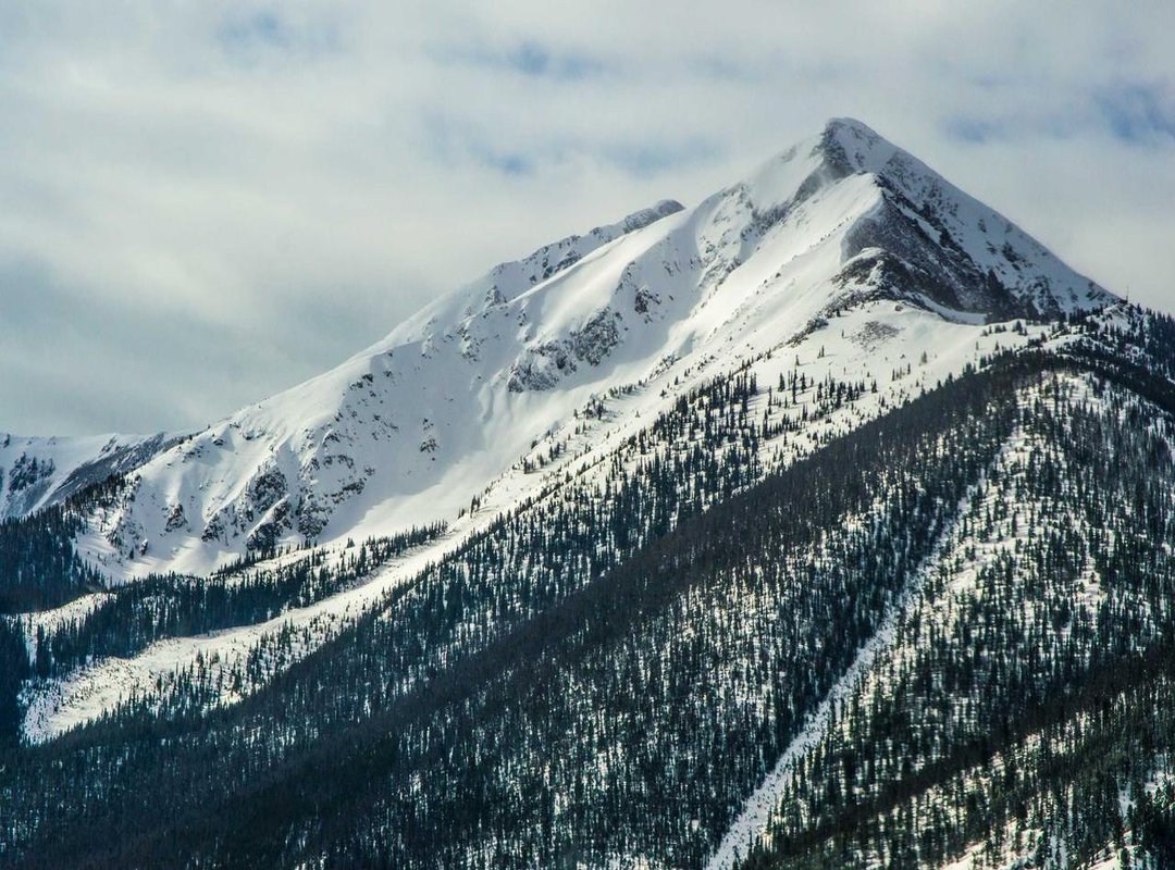 Beyond the Phone: Digital Ordering and Delivery Options