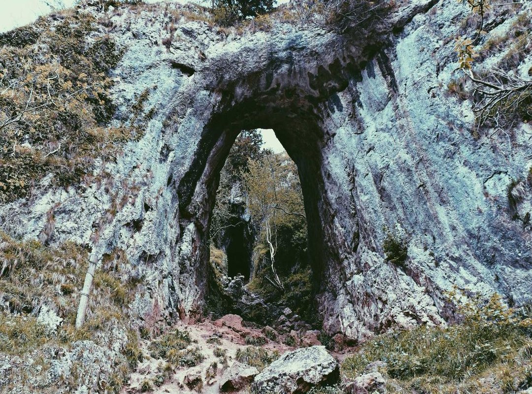 Unlocking Legendary Shinobi: A Glimpse at the Roster