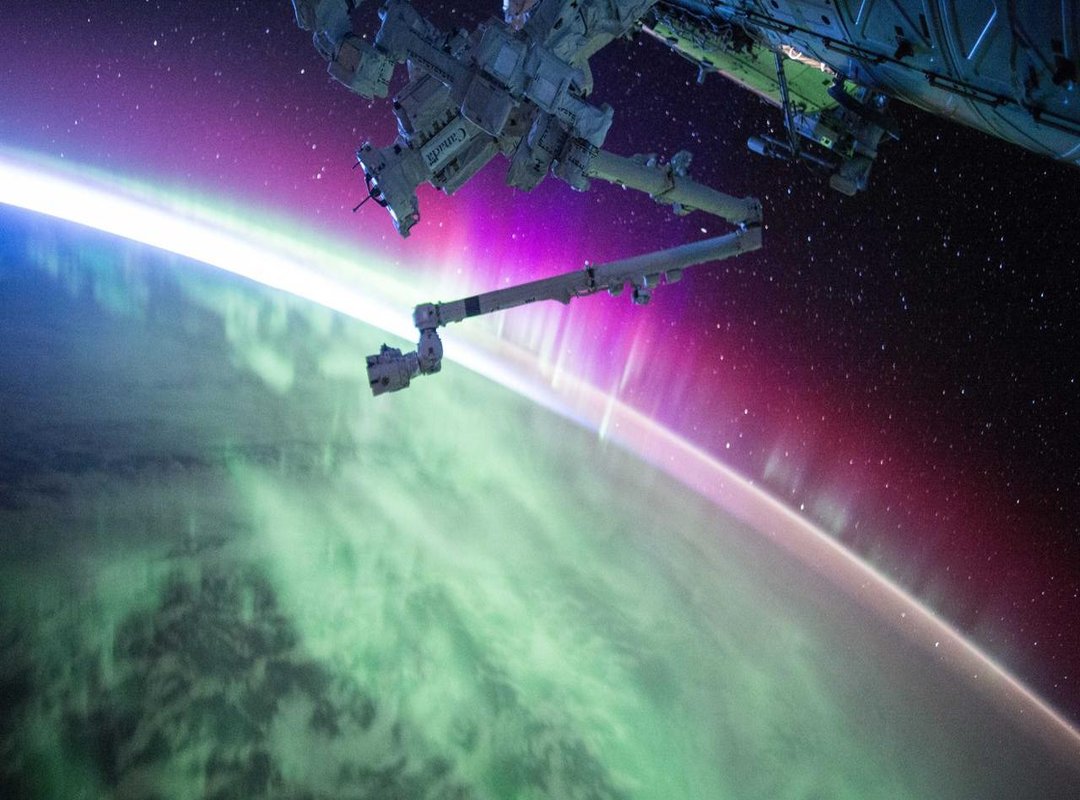 What to Expect: From Booking to the Big Day