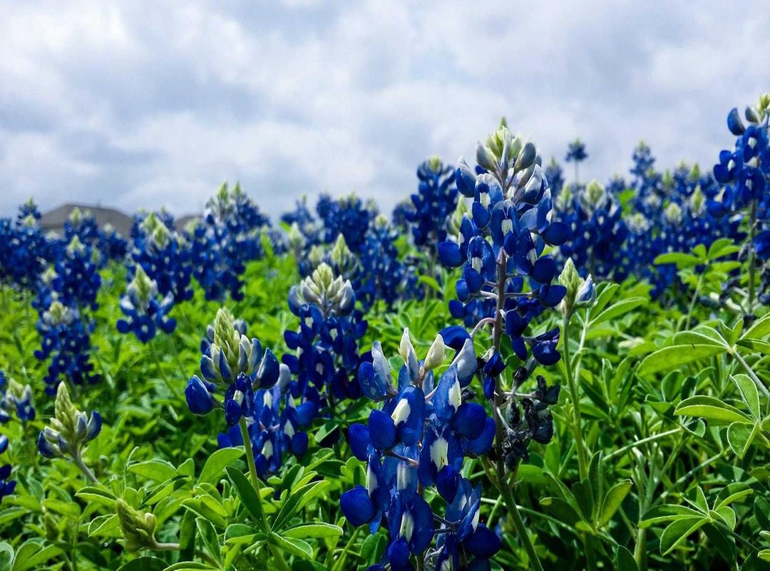 How to Collaborate: The Process for Working Together