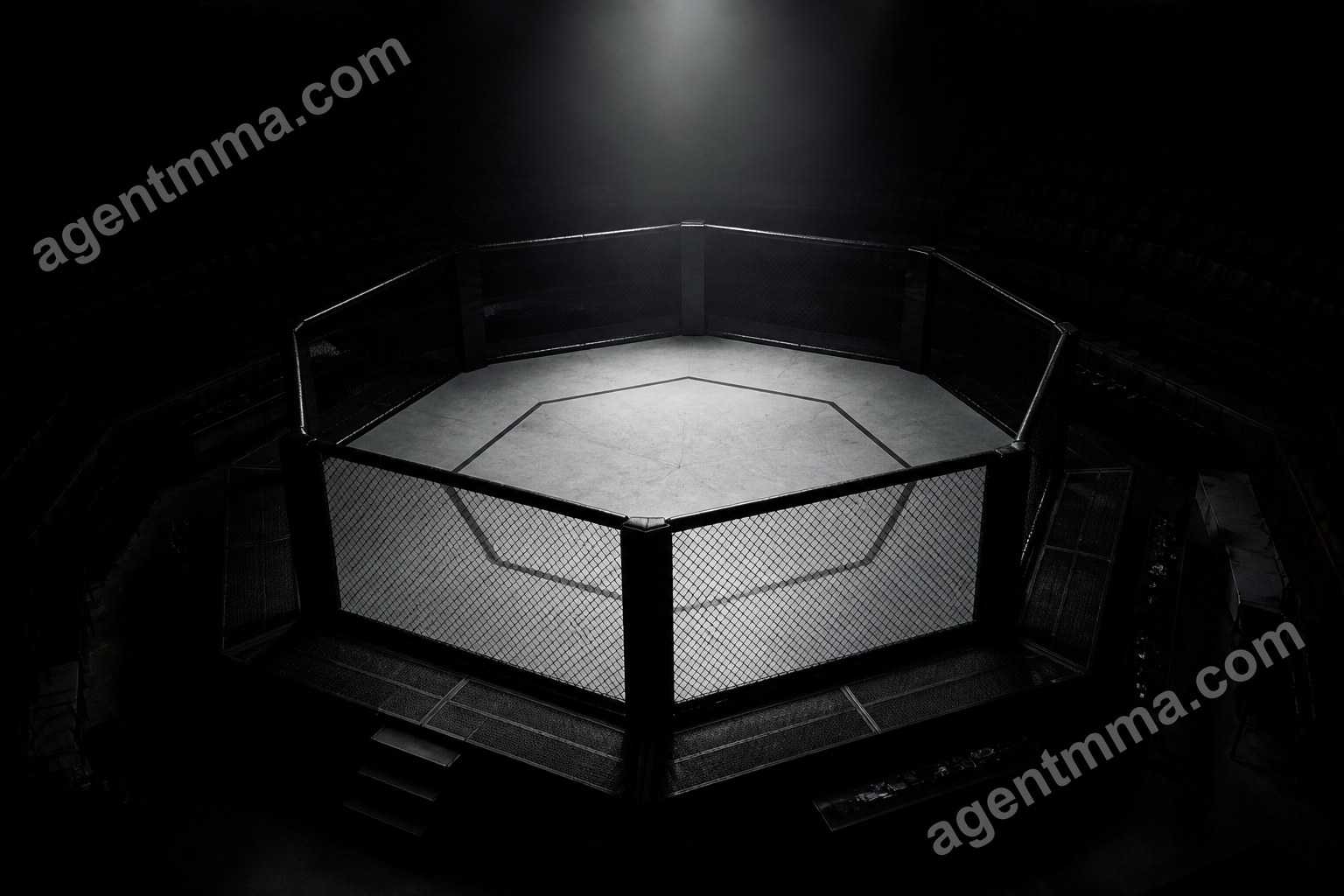 how-ufc-rankings-are-decided